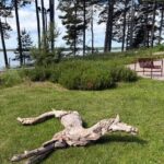 5-Hanaholmen–Ishastarna